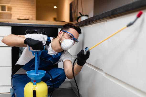 Best Commercial Pest Control Services  in Suffolk, VA