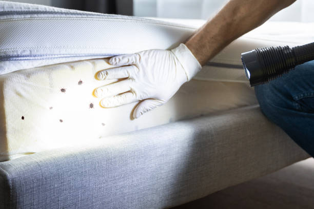  Suffolk, VA Pest Control Pros