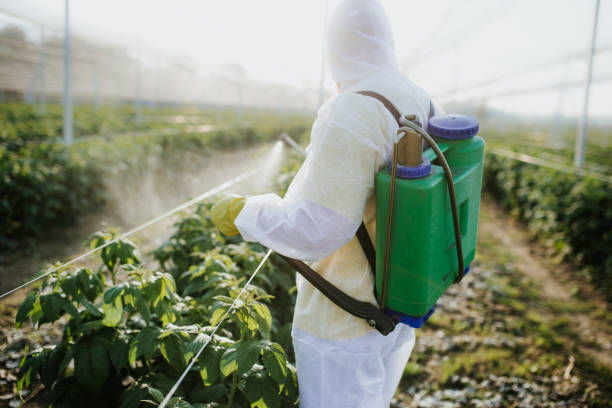 Best Local Pest Control Services  in Suffolk, VA